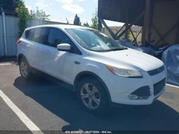  Salvage Ford Escape