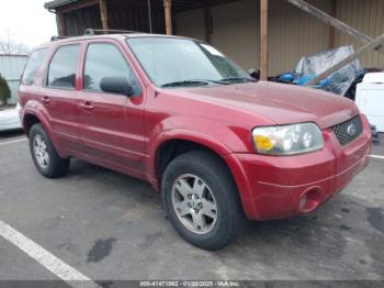  Salvage Ford Escape