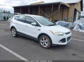  Salvage Ford Escape