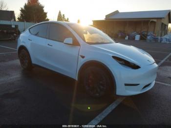  Salvage Tesla Model Y