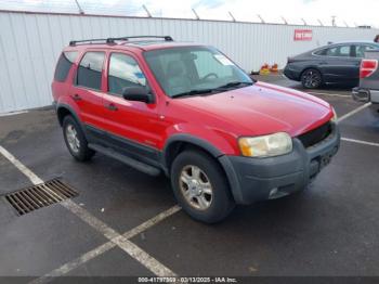  Salvage Ford Escape