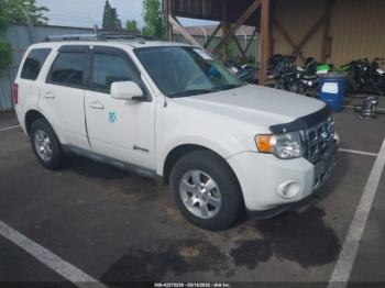  Salvage Ford Escape