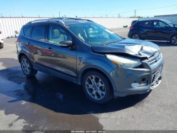 Salvage Ford Escape
