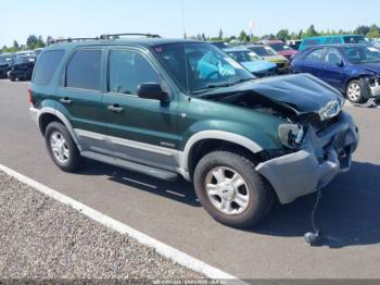  Salvage Ford Escape