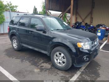  Salvage Ford Escape