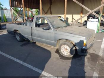 Salvage Chevrolet S Truck