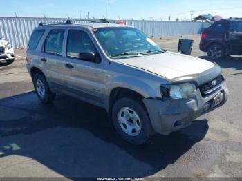  Salvage Ford Escape