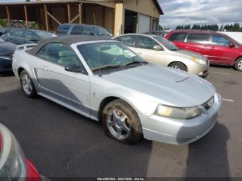  Salvage Ford Mustang
