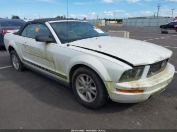  Salvage Ford Mustang
