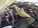 BMW 3 Series Image 10