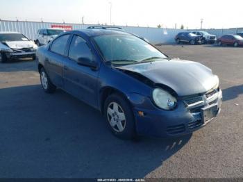  Salvage Dodge Neon