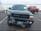 Dodge Dakota Image 14