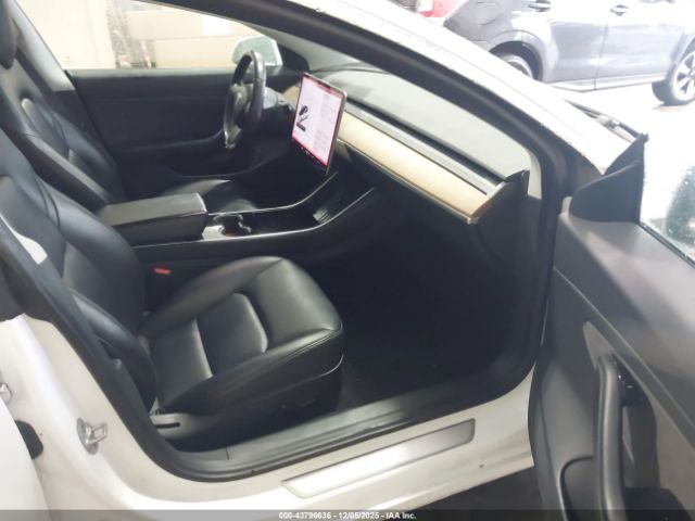 Tesla Model 3 Image 4