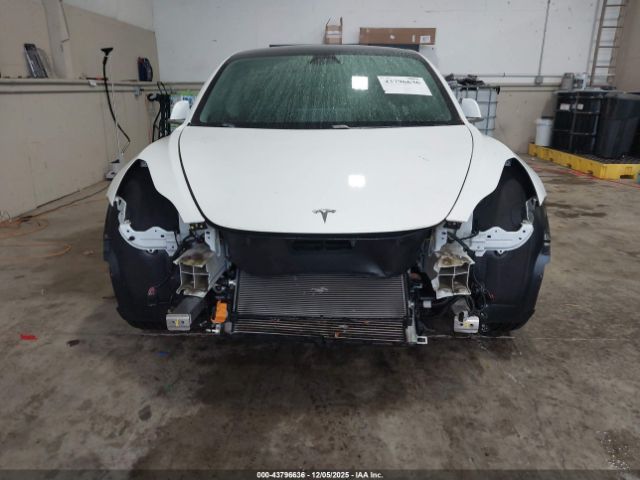 Tesla Model 3 Image 12