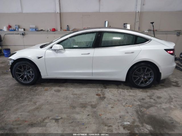 Tesla Model 3 Image 6