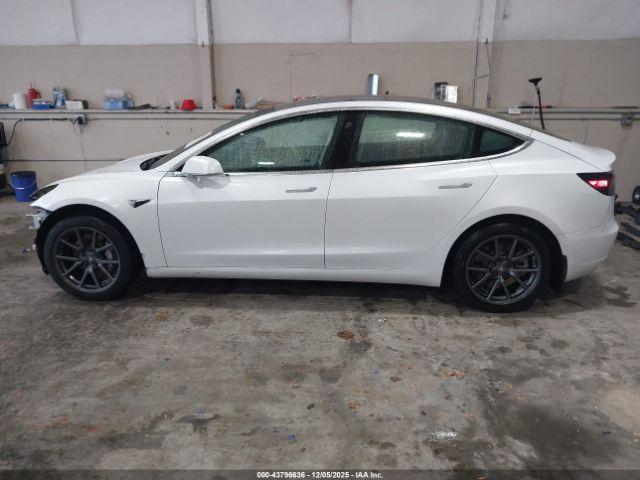 Tesla Model 3 Image 6